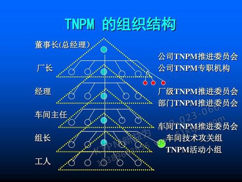 TnPM組織架構